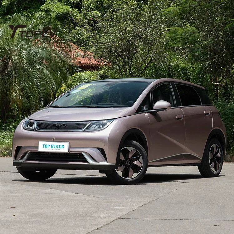 2025 BYD Dolphin 520KM All Electric Sedan